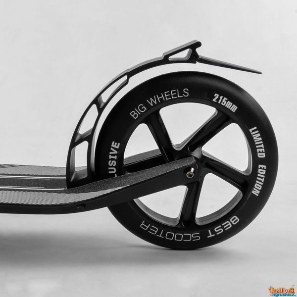 Алюмінієвий самокат двухколісний Best Scooter 93427 93427 фото