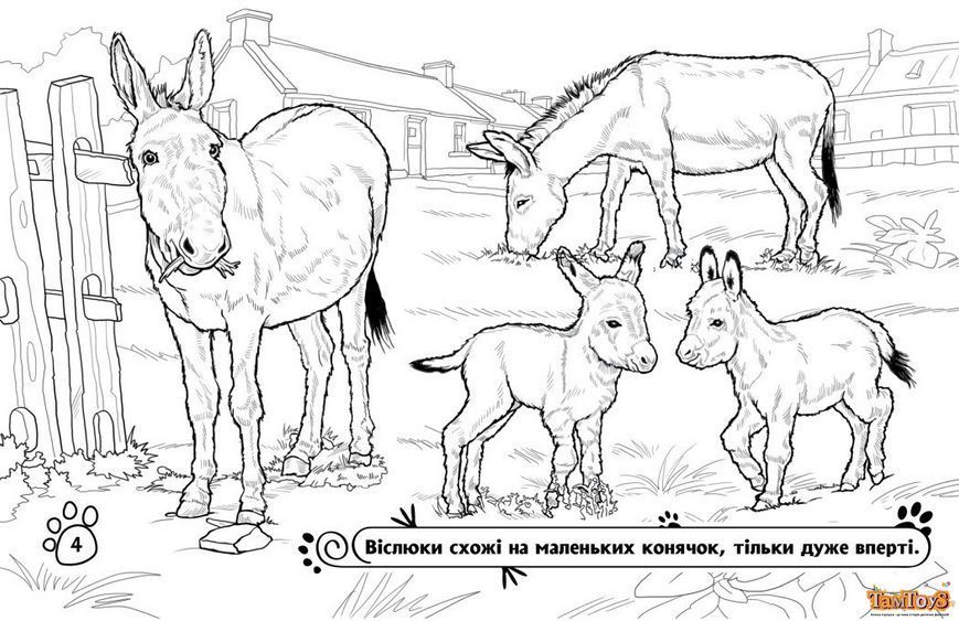 Розмальовка з тваринами : Тварини на фермі (у) А583011У фото